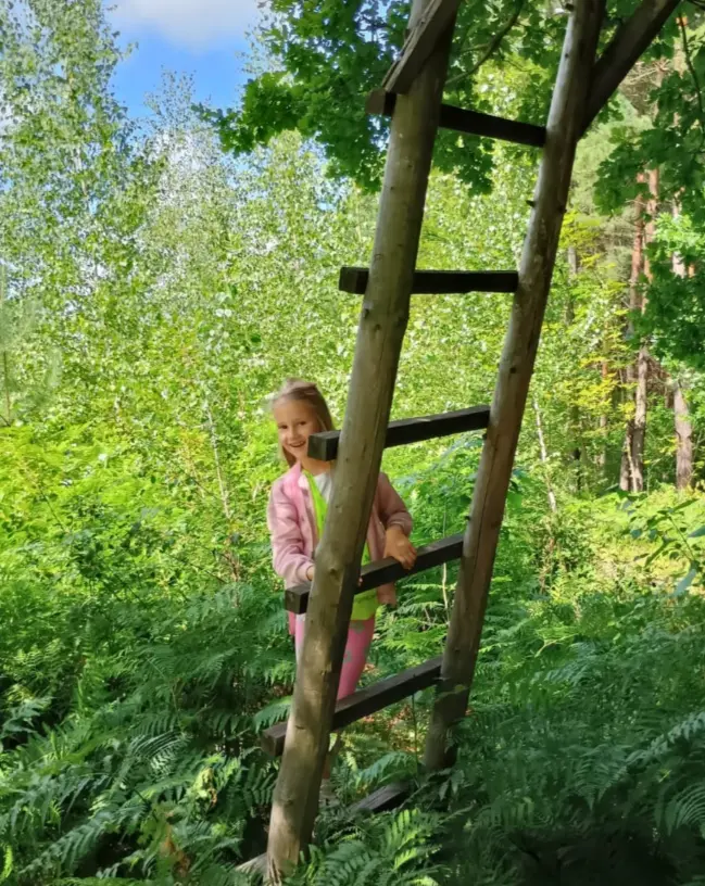 Poznawanie leśnych mieszkańców