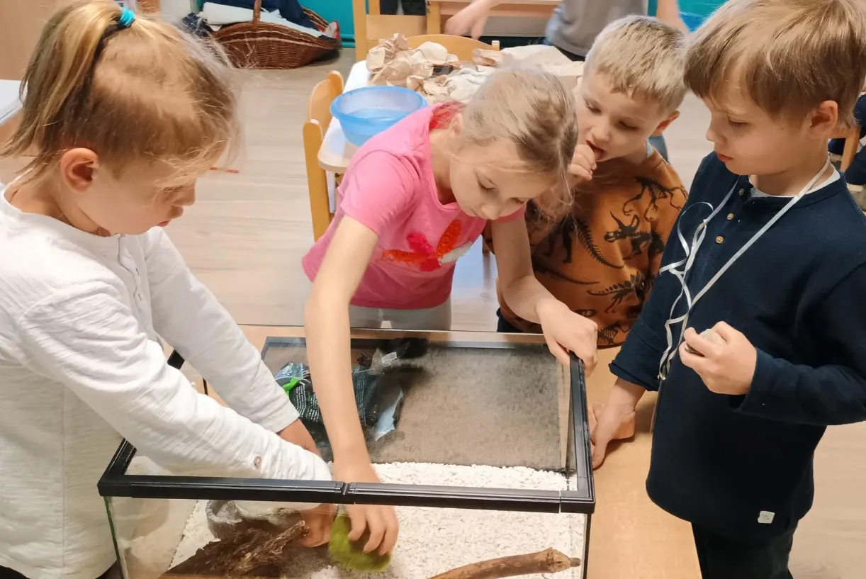 Dzieci obserwują terrarium jaszczurki